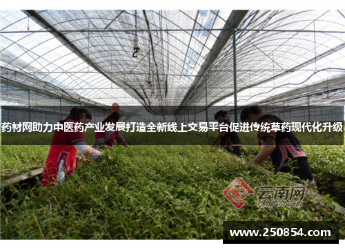 药材网助力中医药产业发展打造全新线上交易平台促进传统草药现代化升级