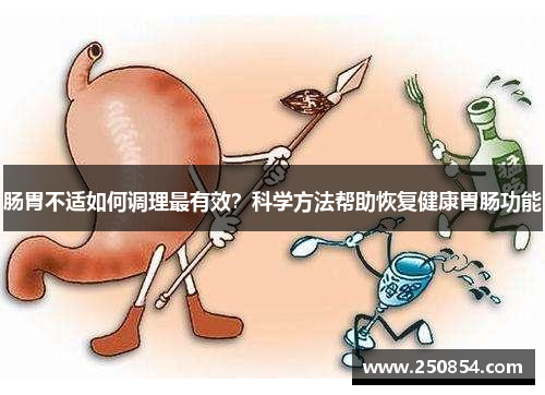 肠胃不适如何调理最有效？科学方法帮助恢复健康胃肠功能