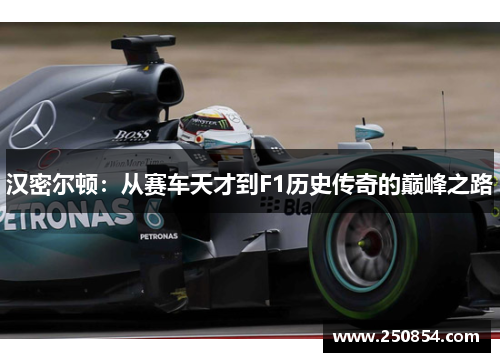 汉密尔顿：从赛车天才到F1历史传奇的巅峰之路